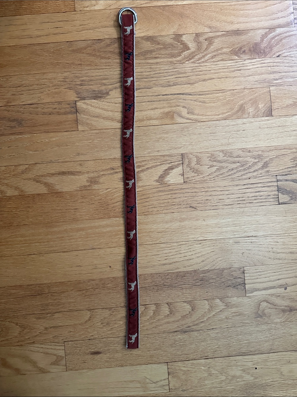 Kids Red Fabric D-Ring Belt with Dog Motif